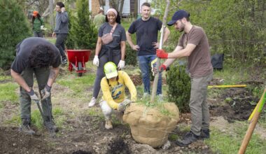 Urban trees aren't just nice, scientists say — they're mandatory