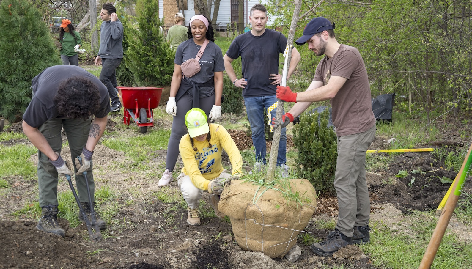 Urban trees aren't just nice, scientists say — they're mandatory