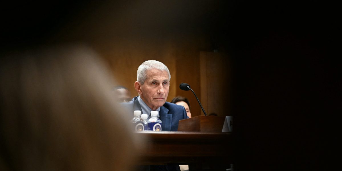A Broken Healthcare System, Not Fauci’s Diary, Is Why Covid Ravaged the U.S.