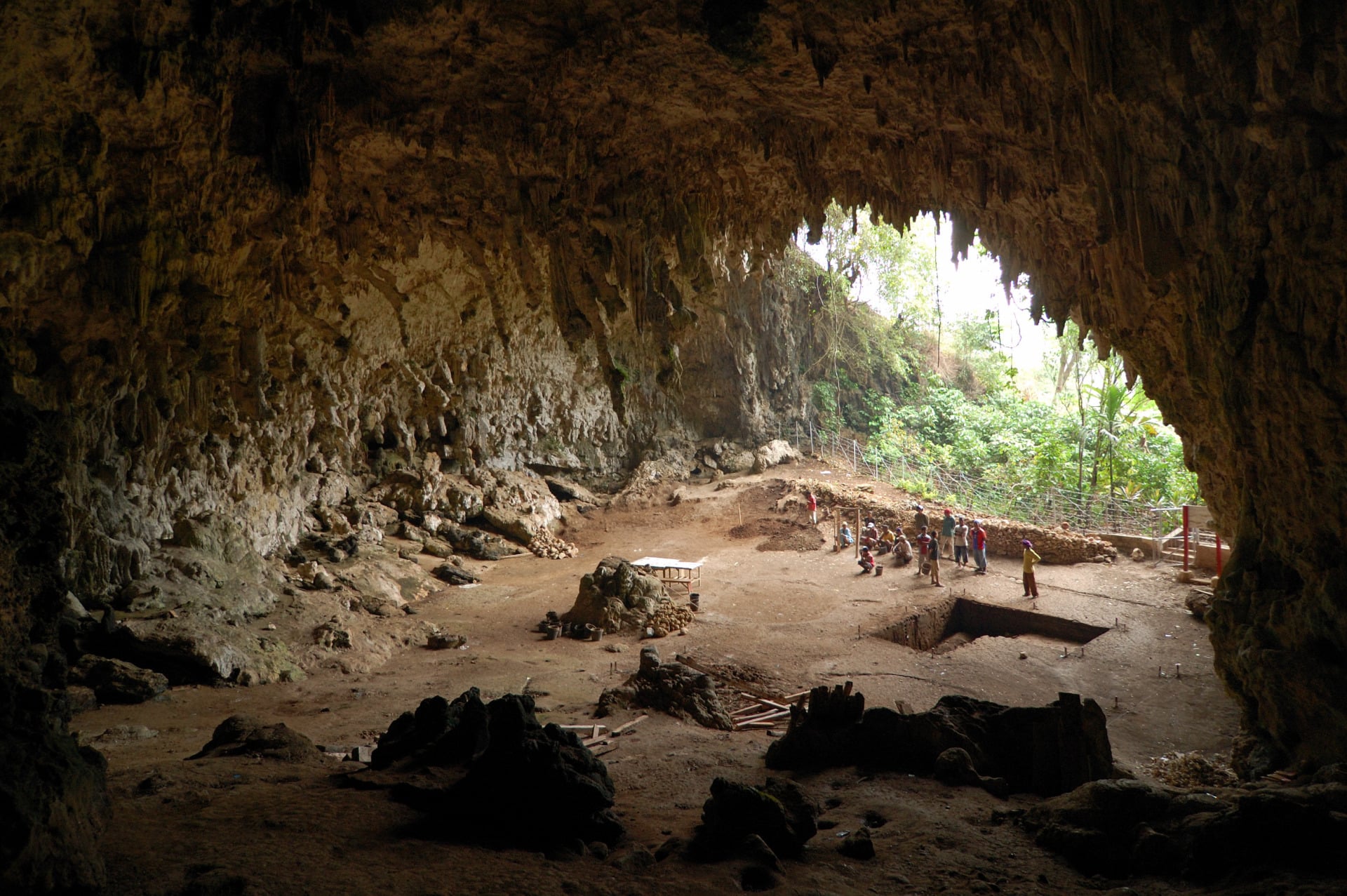 Homo Floresiensis Cave
