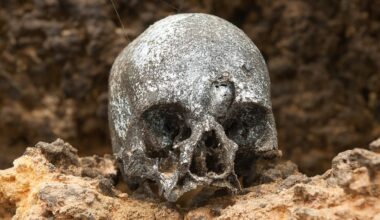 'Clear Evidence': Ancient DNA From Chilean Mummies Reveals Who Brought Smallpox to The Americas : ScienceAlert