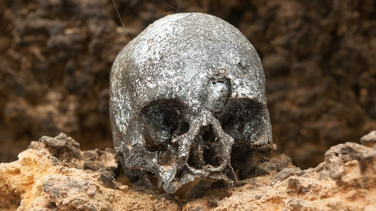 'Clear Evidence': Ancient DNA From Chilean Mummies Reveals Who Brought Smallpox to The Americas : ScienceAlert