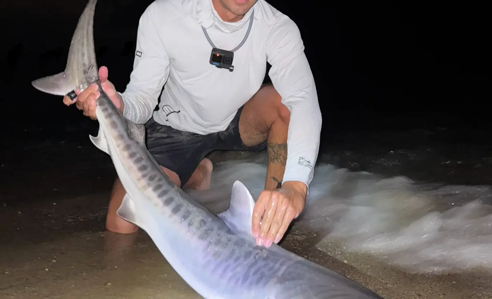 A Tiger Shark was Caught on a Cape Cod Beach — Days After One Was Seen Eating a Turtle