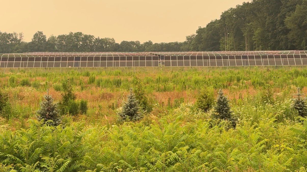 Solar farms and land use debate