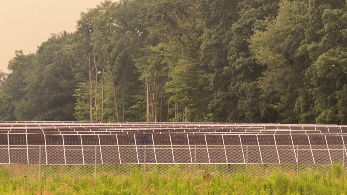 Emmi's leased his land for this solar farm. (Spectrum News/Natalie Mooney)