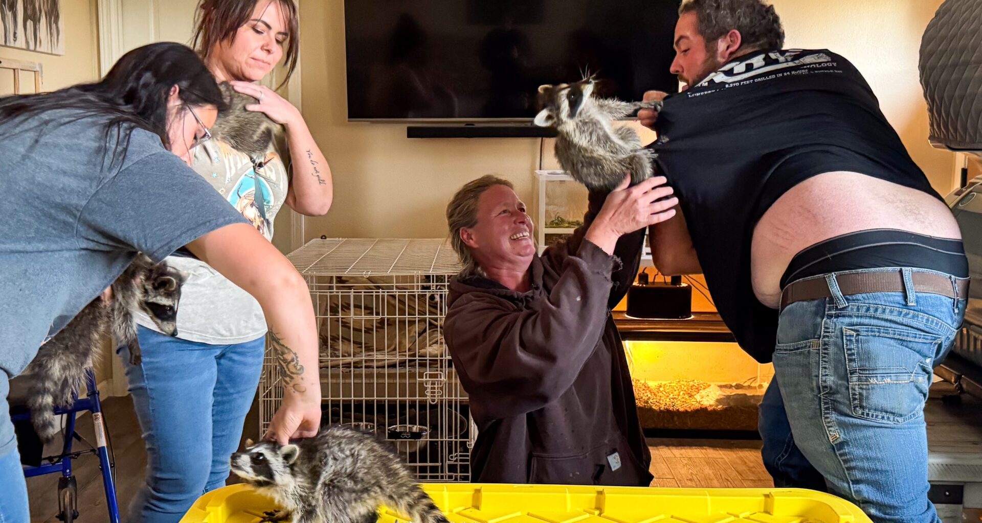 Saving lives, one raccoon at a time: Broken Bandit gives wildlife a fighting chance