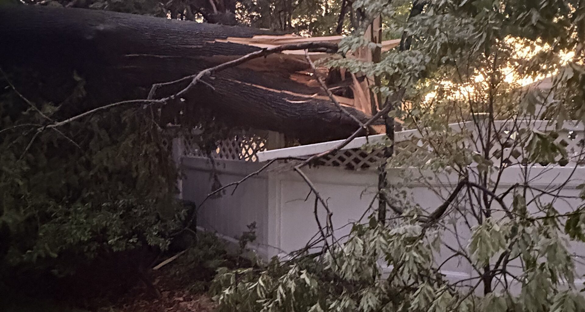 Storm Wreaks Havoc in South Orange, Maplewood