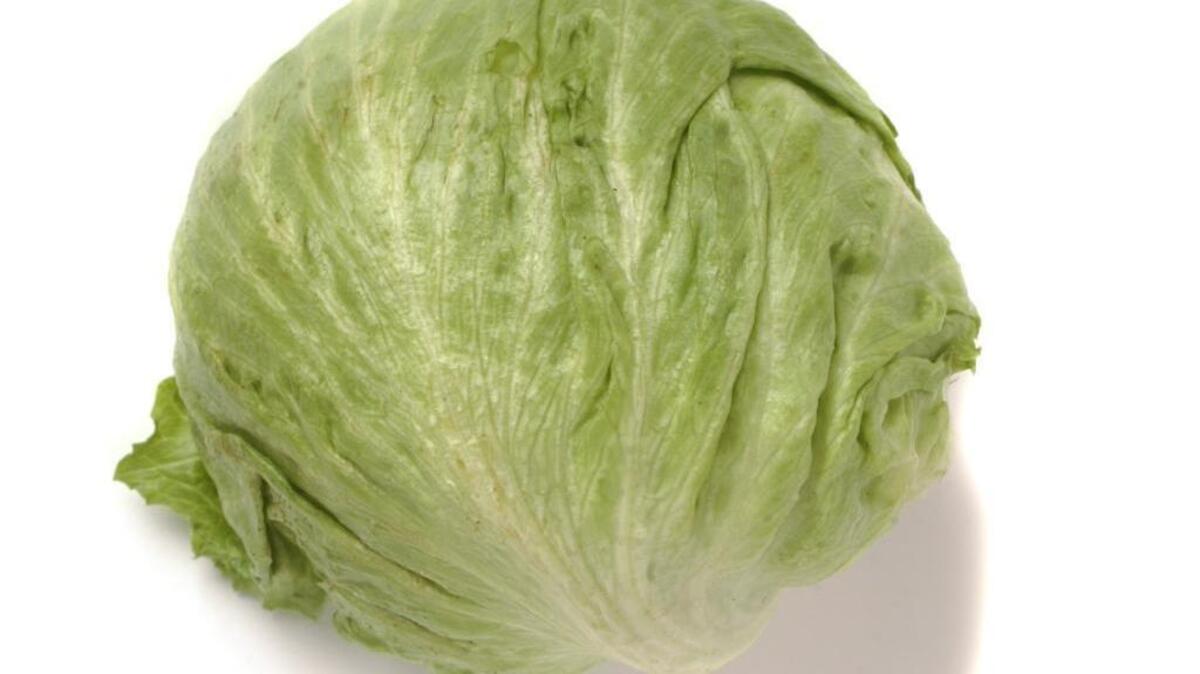 Iceberg lettuce is one possible source of cyclosporiasis cases in the U.S. Iceberg lettuce is one possible source of cyclosporiasis cases in the U.S.