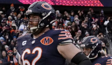 Bears
