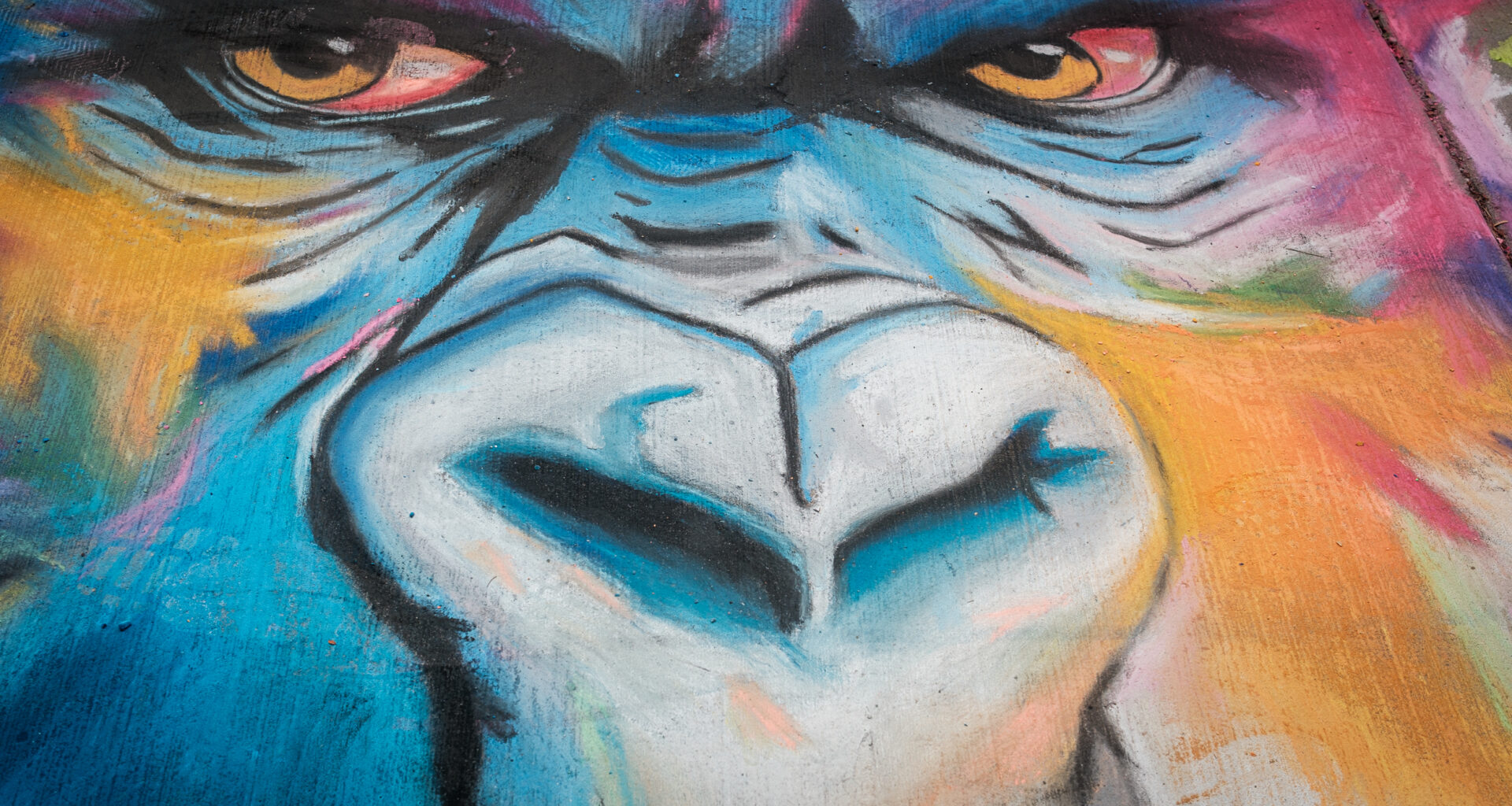 Sidewalk chalk takes over downtown