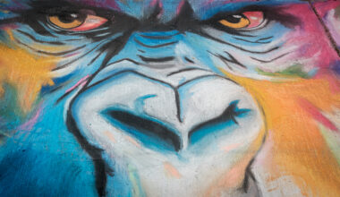 Sidewalk chalk takes over downtown