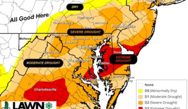 July 9 Drought Monitor