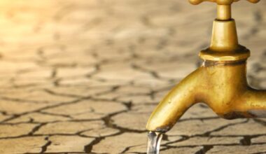 Exceptional drought grips 9 NC counties as reservoirs stay below normal