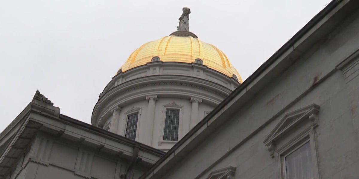 Vermont revenues holding steady as economists warn of AI-driven market risks