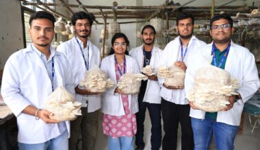 Lovely Professional varsity students launch mushroom startup
