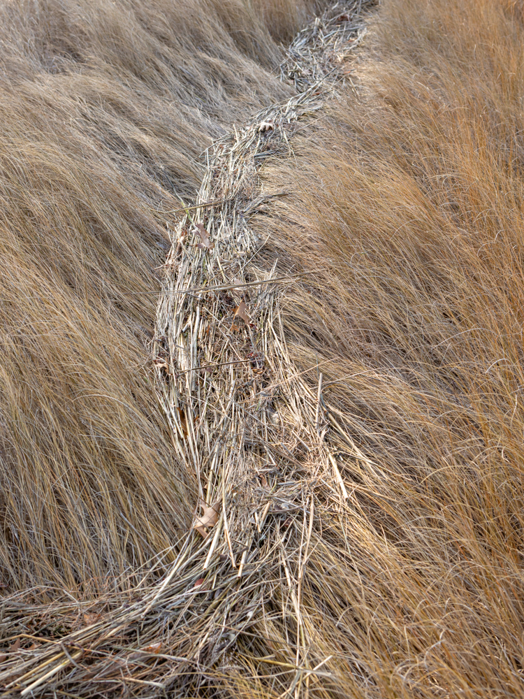 Lambrecht_Untitled_03