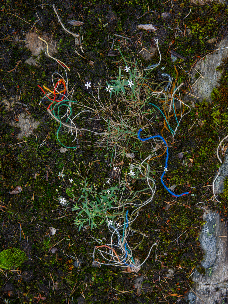 Lambrecht_Untitled_08