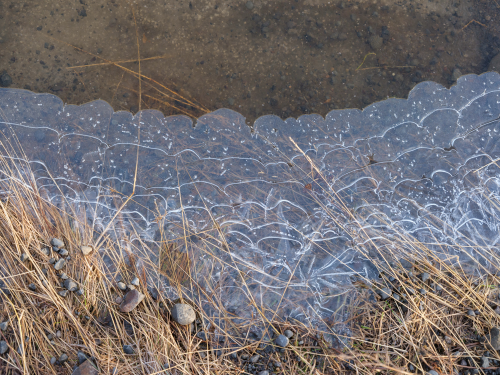 Lambrecht_Untitled_10