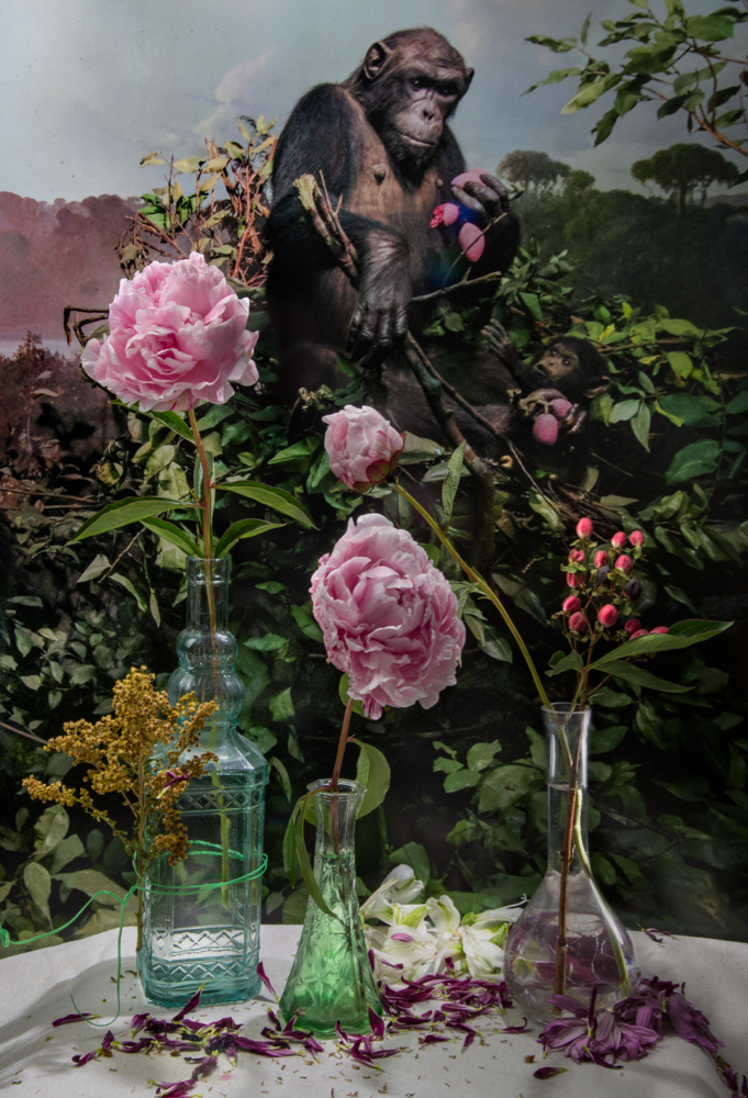 Larsen_Emily_ancestors