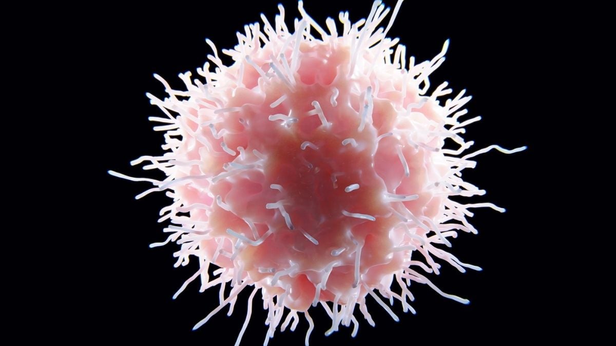 First-of-Its-Kind Lupus Treatment Significantly Reduces Symptoms in Mice : ScienceAlert