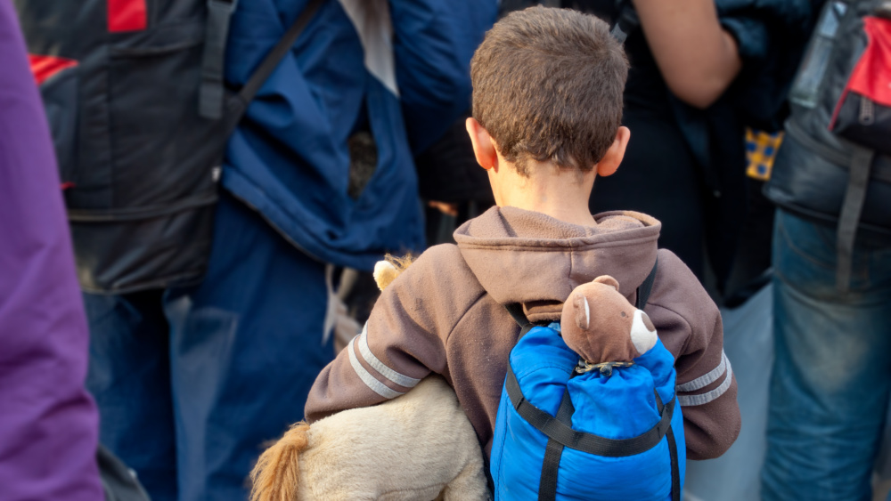 4.38 million under temporary protection in May 2026 - News articles