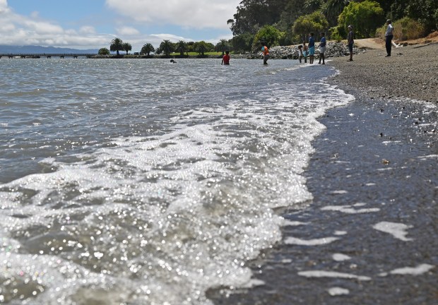 Visitors recreate at McNears Beach Park in San Rafael, Calif., on Wednesday, July 22, 2026. (Alan Dep/Marin Independent Journal)