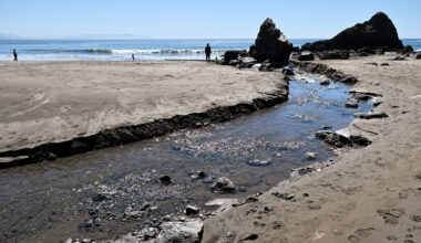 Marin beaches get mixed grades in water quality report
