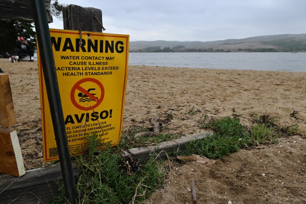 A sign warns visitors of unhealthy bacteria levels at Chicken Ranch Beach in Inverness, Calif. on Wednesday, Sept. 24, 2025. (Alan Dep/Marin Independent Journal)