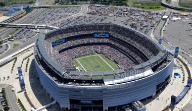 NFL players may collectively bargain for grass fields in future negotiations but it would come at a cost