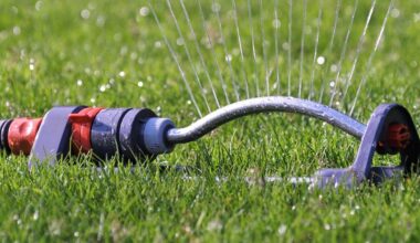 Brunswick County warns of total lawn watering ban if drought doesn’t ease