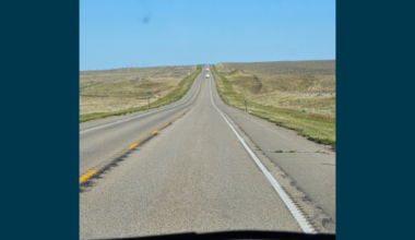 Wyoming Game and Fish reminds motorists to slow down for wildlife during drought conditions – Sheridan Media