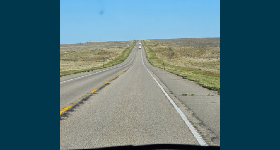 Wyoming Game and Fish reminds motorists to slow down for wildlife during drought conditions – Sheridan Media