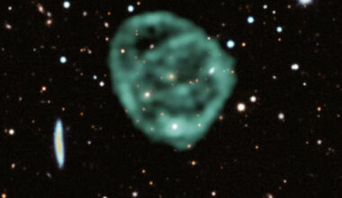 Odd radio circles: giant unexplained space rings