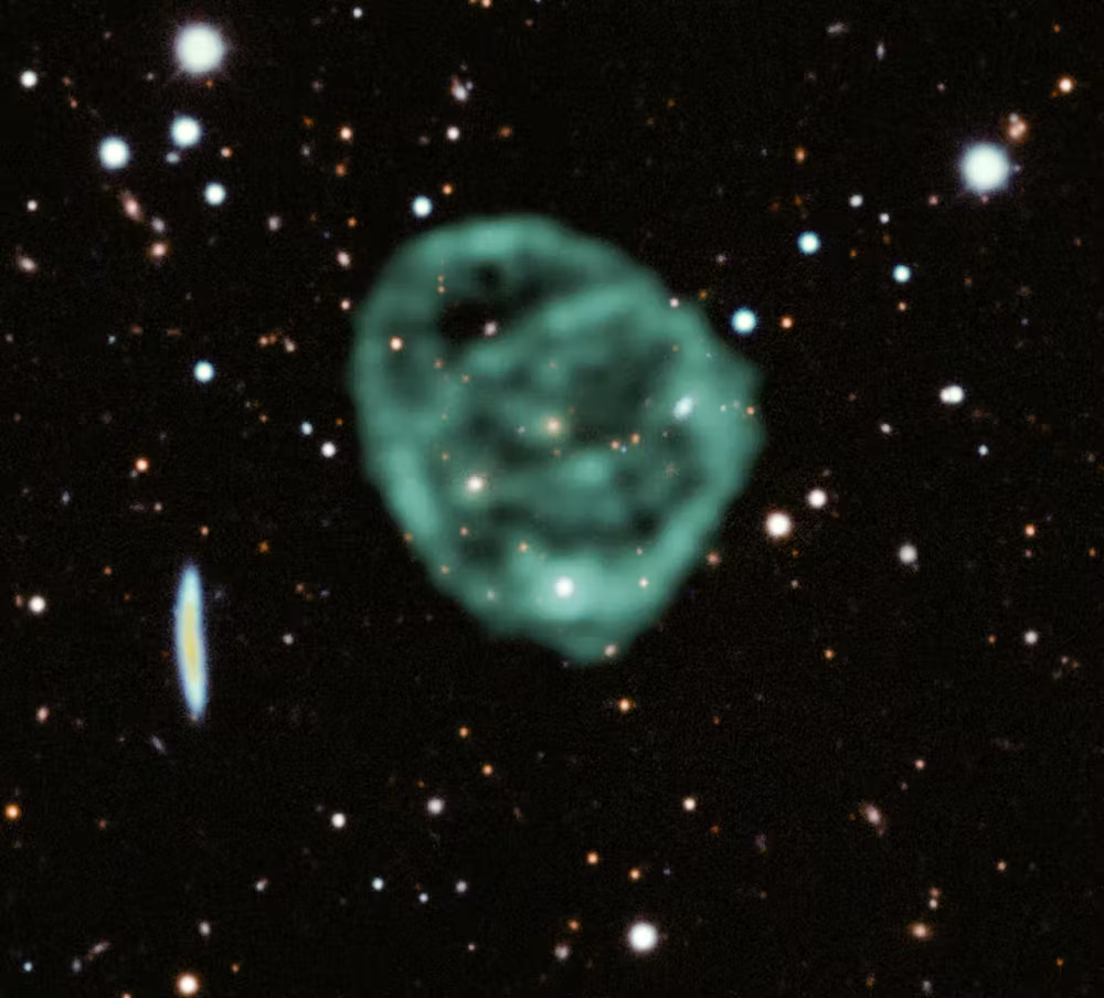 Odd radio circles: giant unexplained space rings