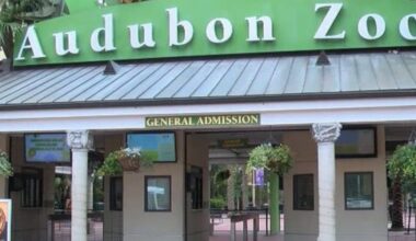 Audubon Nature announces job cuts, including Chief of Staff