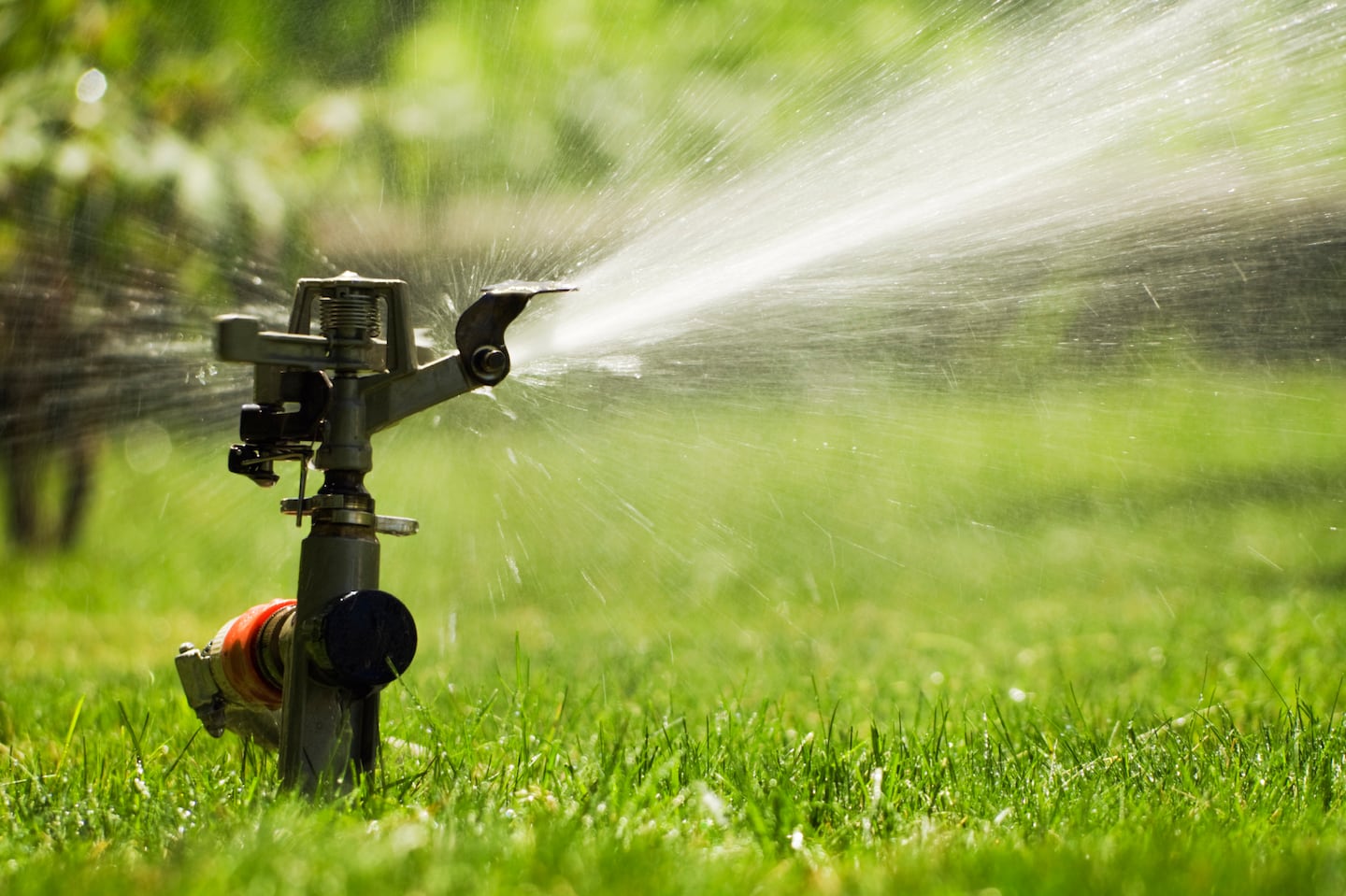To significantly reduce evaporative water loss, it is best to water early in the morning, before 9 a.m., or late in the evening, after 6 p.m.