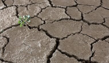 There is hope for Utah, despite water scarcity