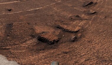 NASA's Curiosity Rover Finds a Vast Sea of Strange Honeycomb Patterns on Mars