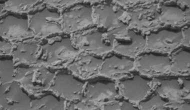 polygon structures Curiosity rover