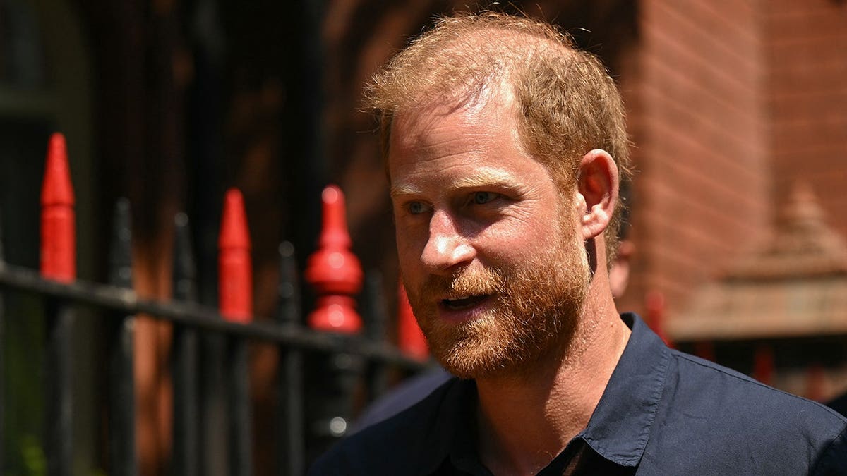 A close-up of Prince Harry outside in a dark blue shirt.