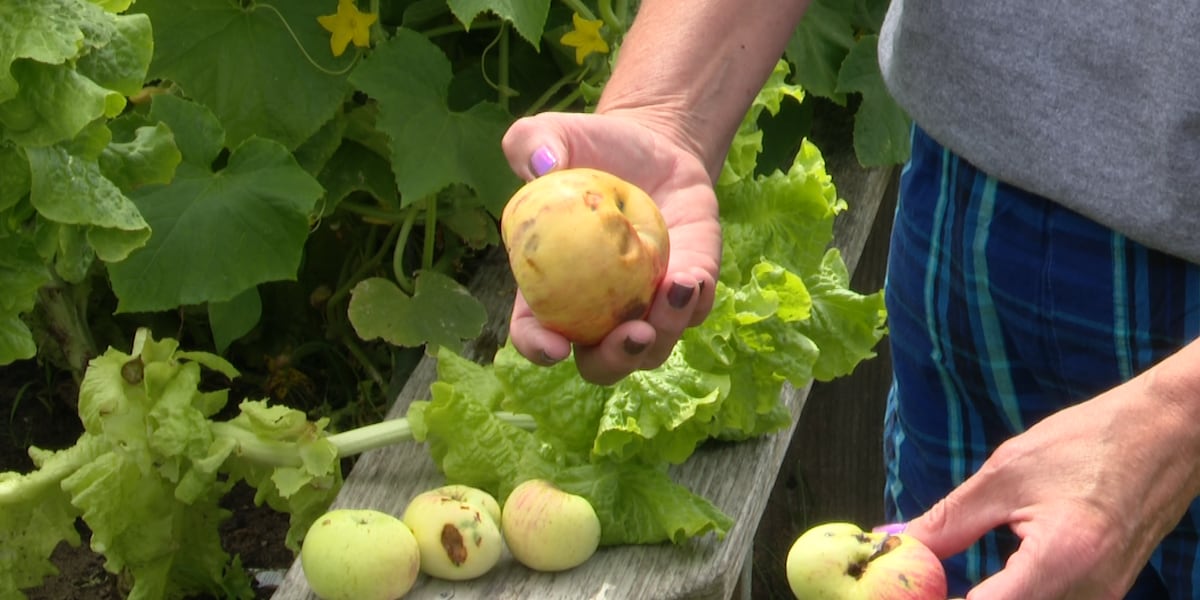 Don’t toss that produce — local wildlife center says animals will take it