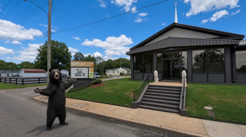 Black bear sighting