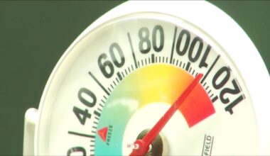 Roanoke man charged after dogs found in hot car
