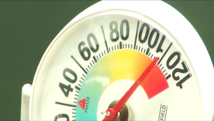 Roanoke man charged after dogs found in hot car