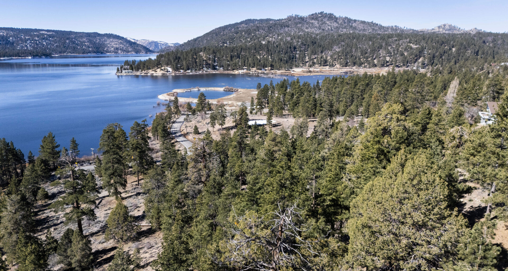 Big Bear bald eagles habitat saved; OpenAI president donates $5.5 million to reach goal – San Bernardino Sun