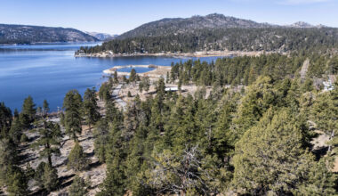 Big Bear bald eagles habitat saved; OpenAI president donates $5.5 million to reach goal – San Bernardino Sun