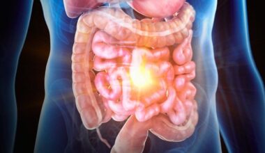 Inflammatory Bowel Disease Has Been Recreated on a Chip, And Scientists Could Finally Figure Out Its Cause : ScienceAlert