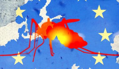 Tropical Diseases Like Dengue Fever and Chikungunya Are on the Rise in Europe