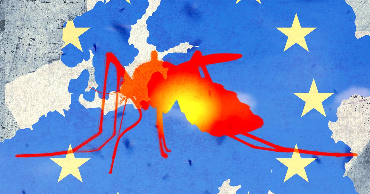 Tropical Diseases Like Dengue Fever and Chikungunya Are on the Rise in Europe