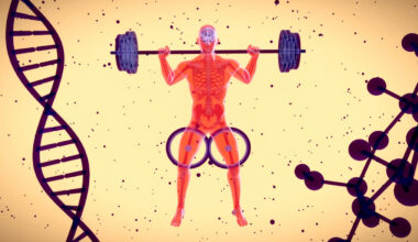 Men’s Testosterone Levels Have Fallen by Half in 50 Years and Scientists Are Worried